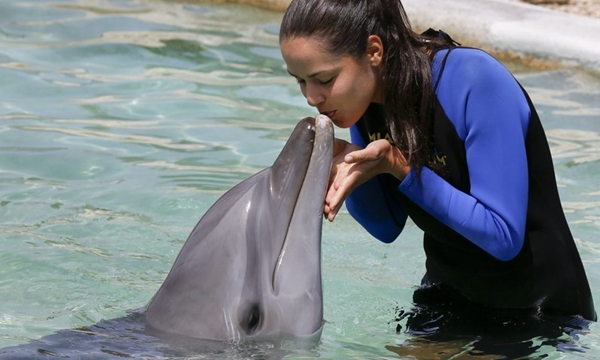 黑白体育-关于网球大奖赛，关东海豚队与祁连铁骑队强势反弹，体能对抗拉满！轮换效果显现的信息