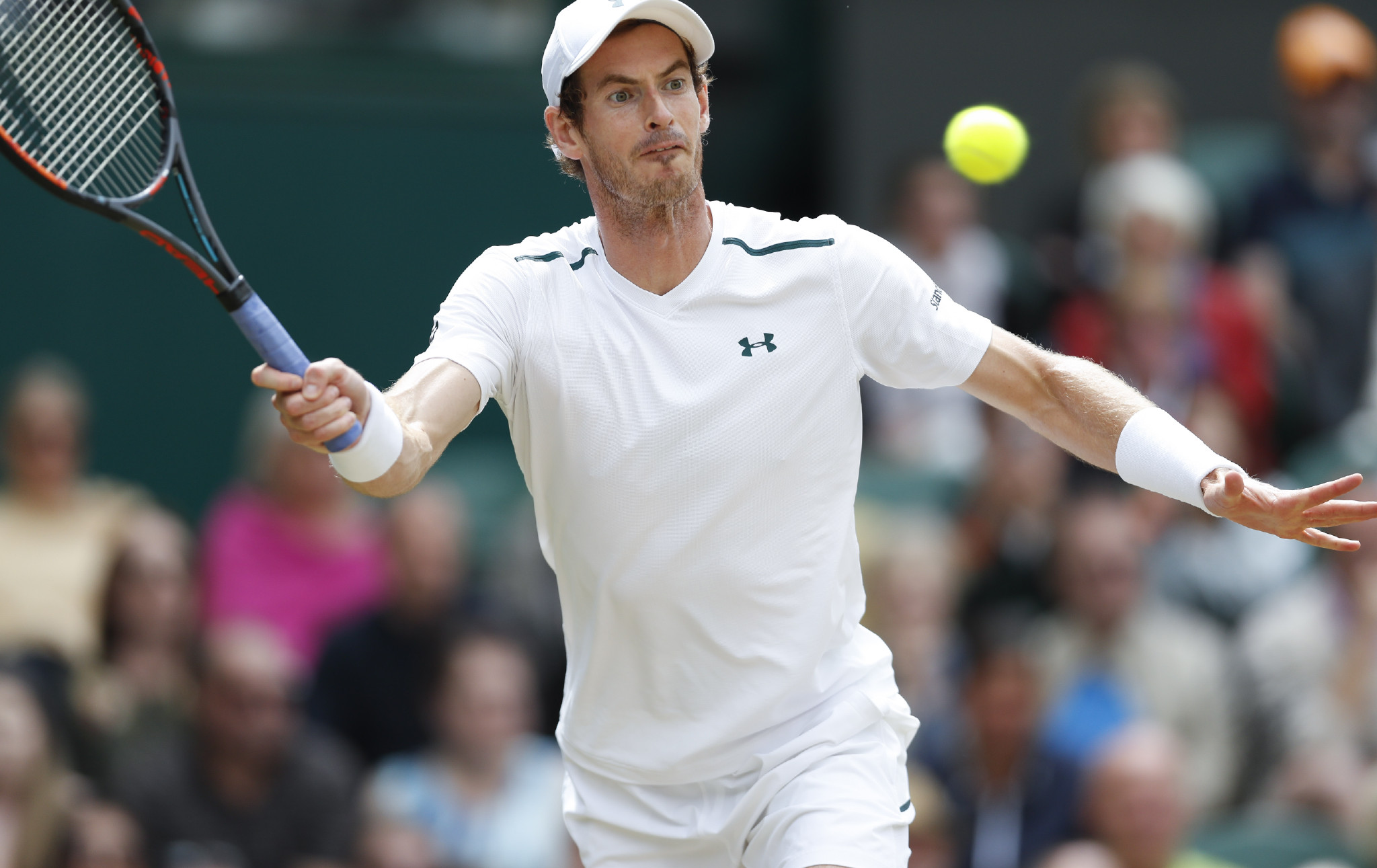 黑白体育-关于穆雷迎来七赛季高光表现，日本队球迷沸腾！的信息